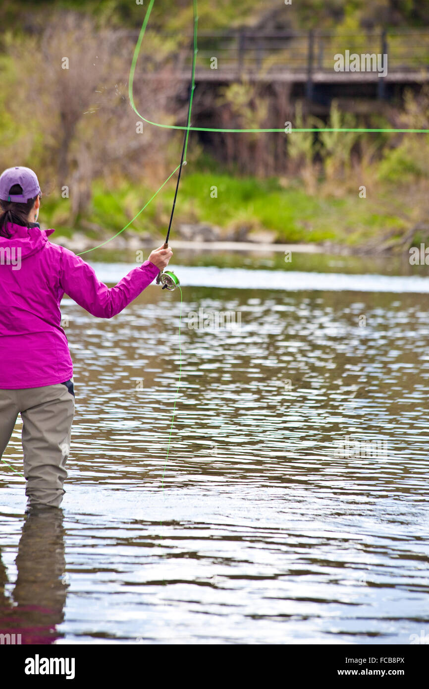Una mujer pesca de truchas en el río Missouri, Montana. Foto de stock