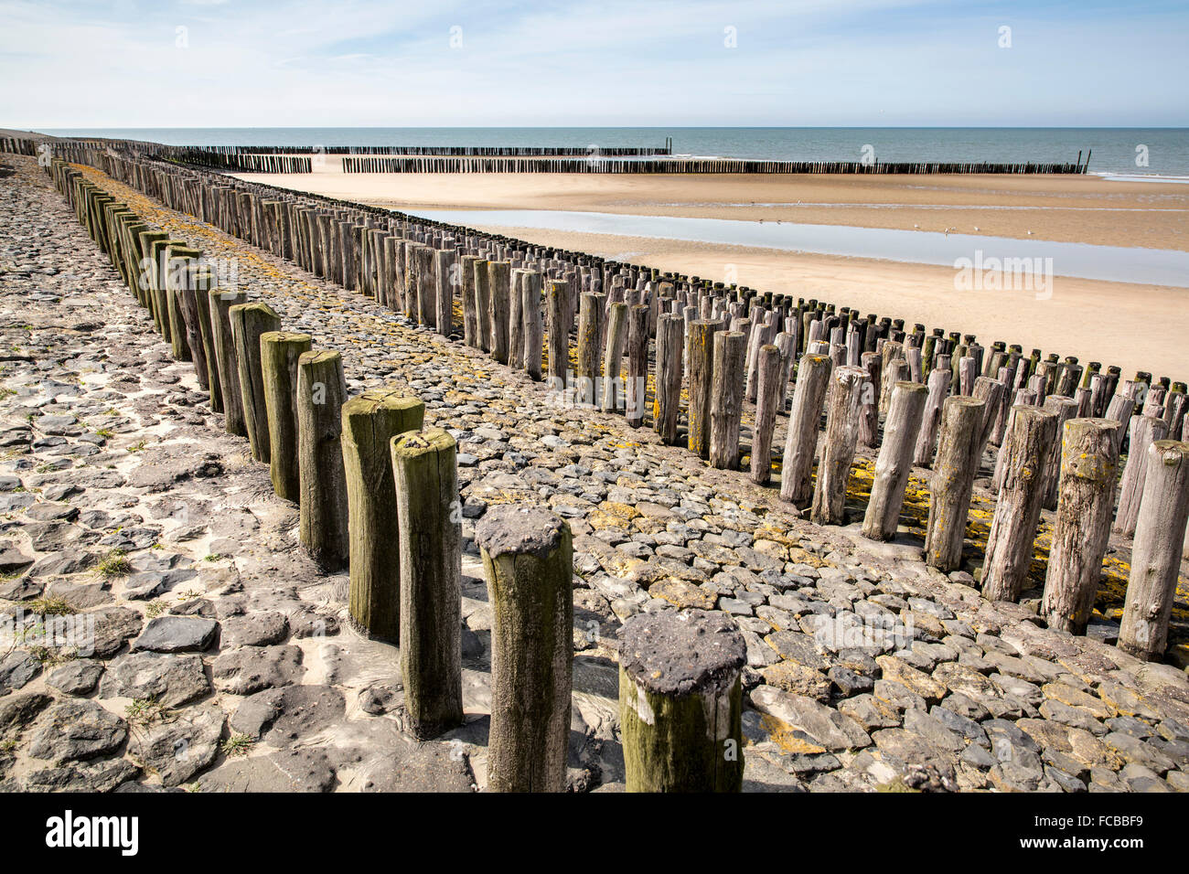 Países Bajos, Breskens, postes de madera como rompeolas para proteger contra las olas del mar del Norte. Foto de stock