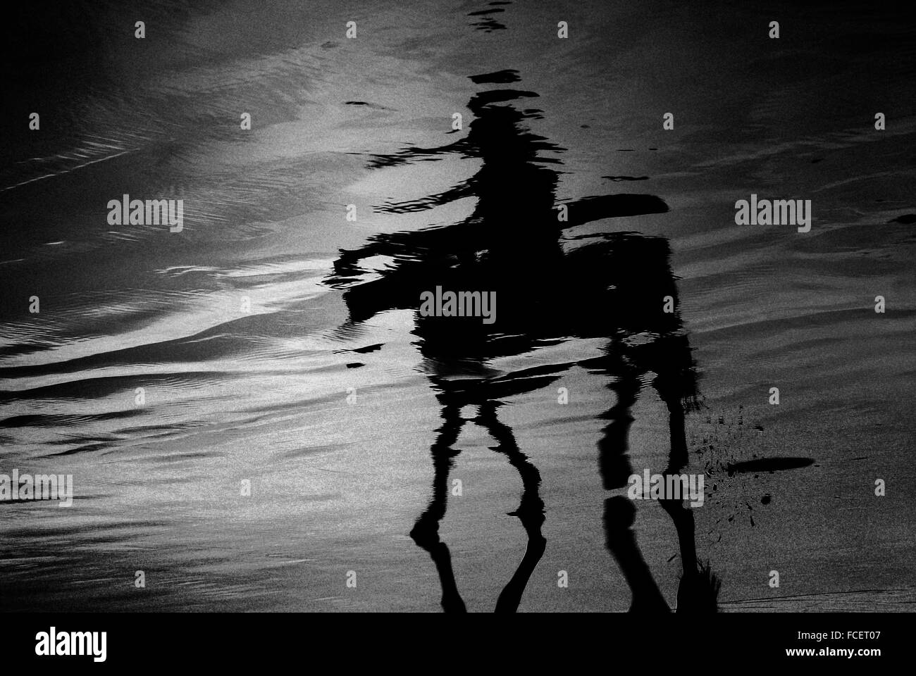 La reflexión de la persona en el montar a caballo en la playa Foto de stock