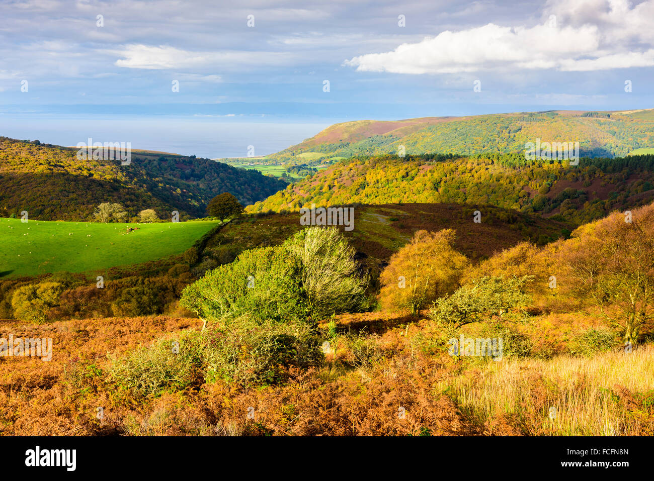 Vista desde la colina Dunkery otoño a través de Exmoor a Bahía Porlock, Somerset, Inglaterra Foto de stock