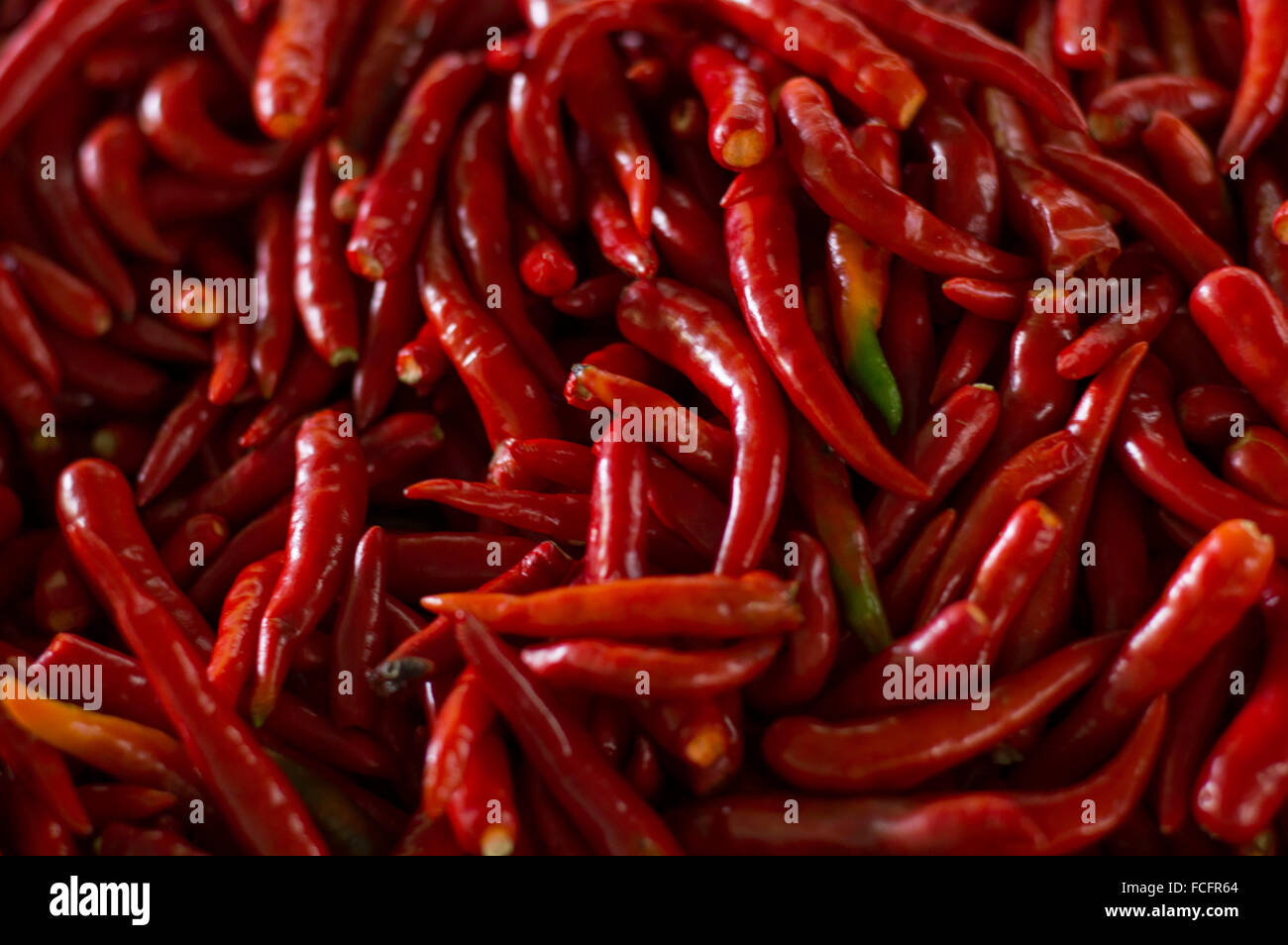 Chiles rojos Foto de stock