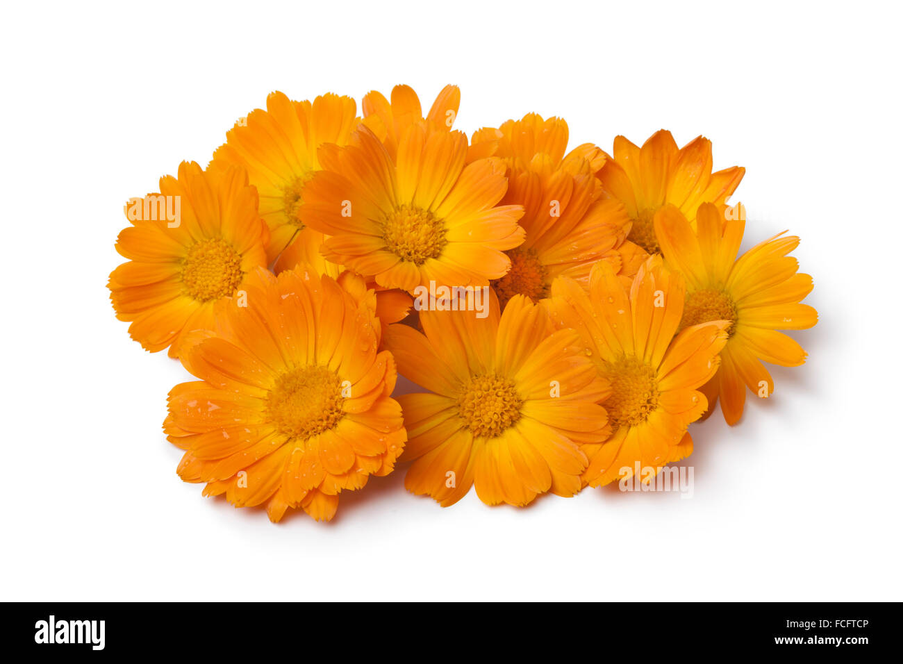 Flores de caléndula comestible fotografías e imágenes de alta resolución -  Alamy