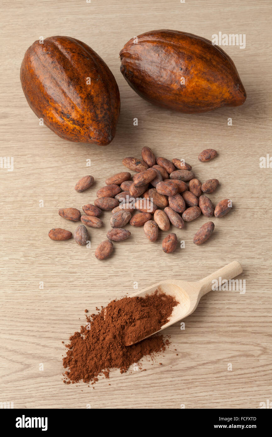 Fruta del cacao, granos de cacao y cacao en polvo en una cuchara de