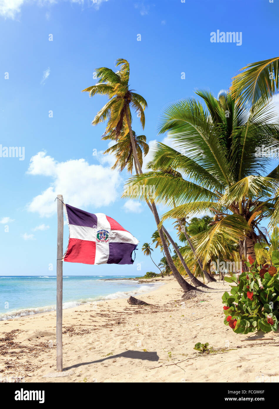 Playa del Caribe y República Dominicana bandera en la isla Saona Foto de stock
