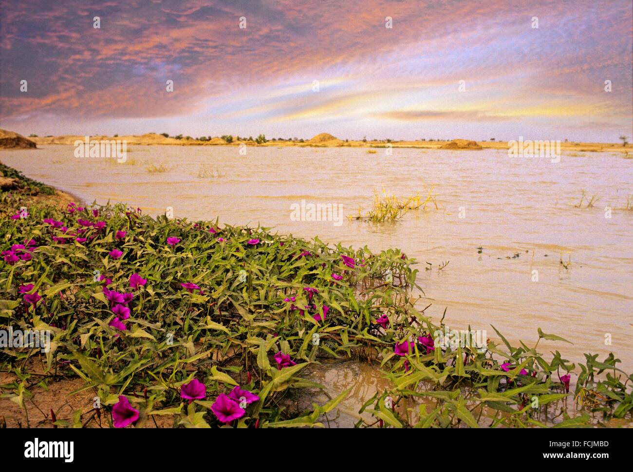 El lago Chad, en África Central. Foto de stock