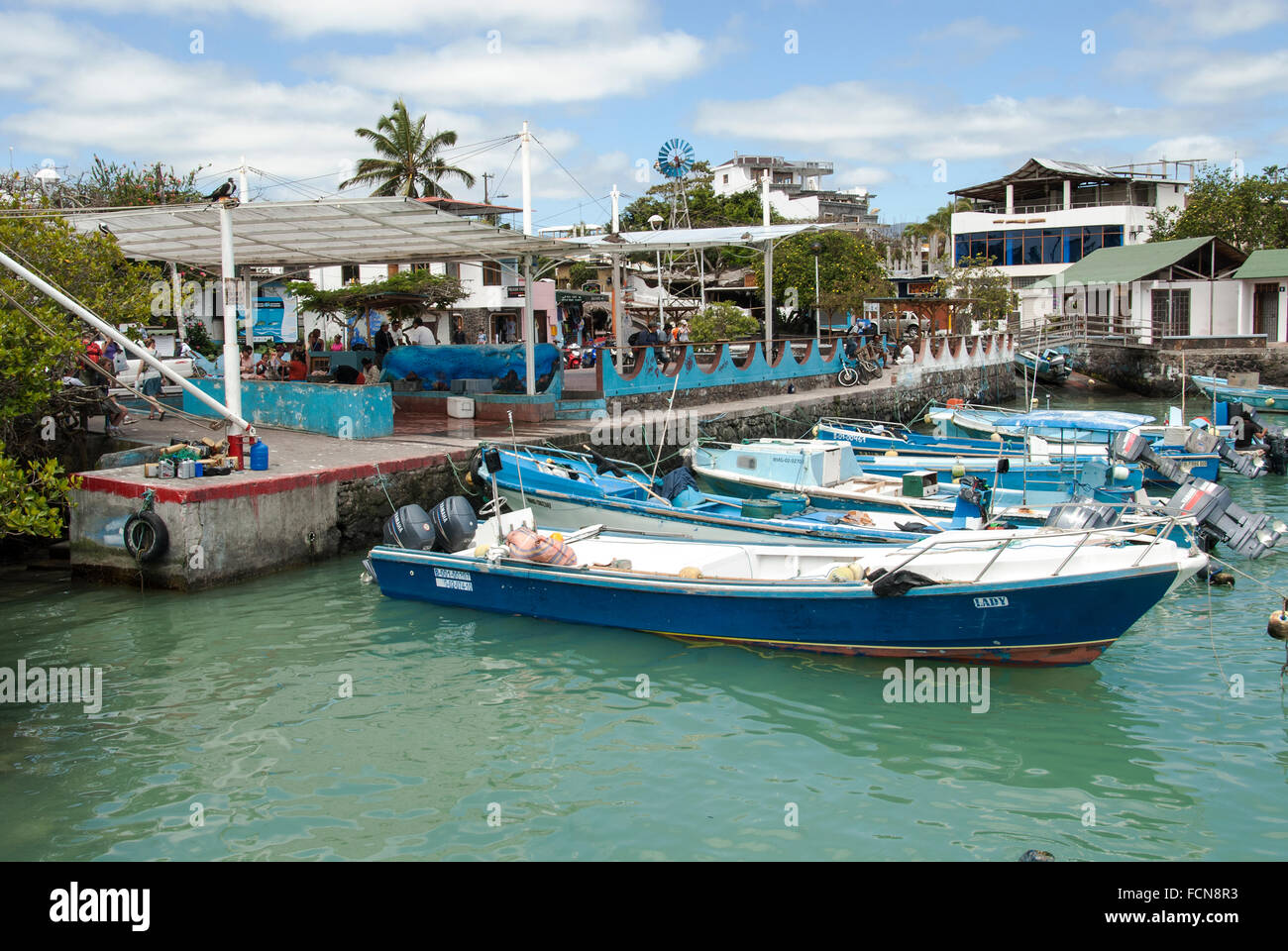 Puerto Ayora, Isla Santa Cruz Islas Galápagos Ecuador Foto de stock
