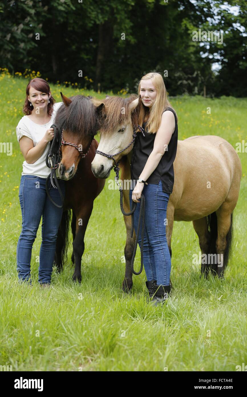 Mujeres y caballos islandeses Foto de stock