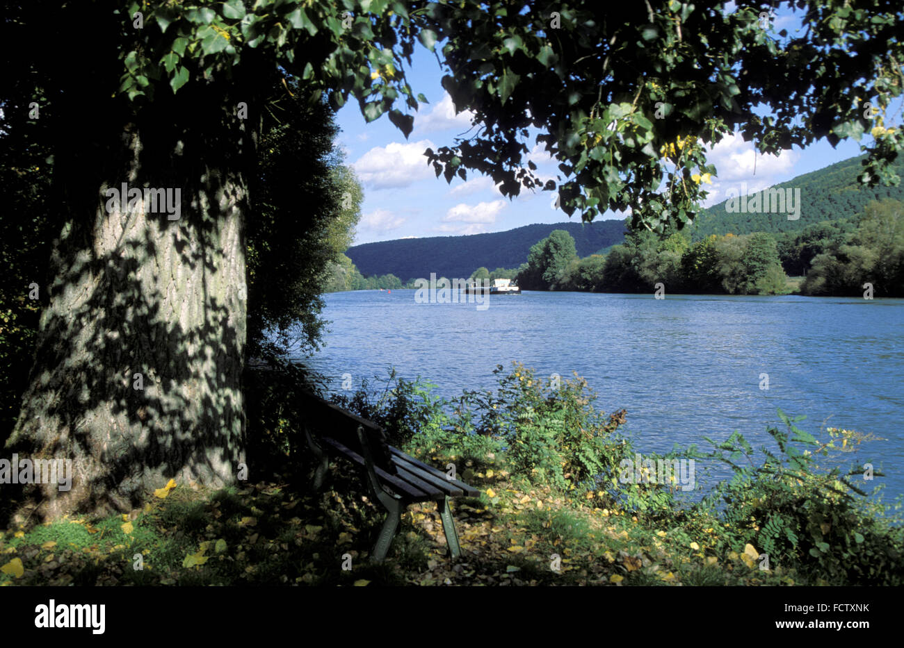 DEU, Alemania, Baviera, el río Meno cerca de Neustadt en el Spessart. DEU, Deutschland, Bayern, der bei Neustadt im Spessar principal Foto de stock