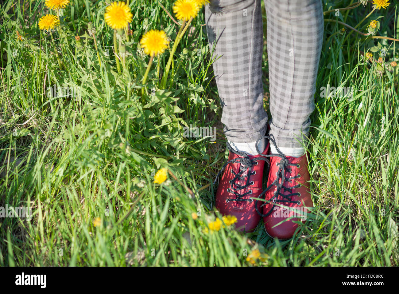 Piernas en zapatos rojos en el pasto verde con flor diente de león Foto de stock