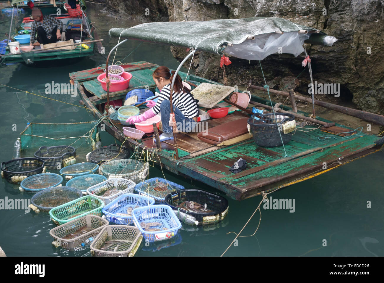 Mujer vendiendo distintos tipos de pescado fresco y marisco vivo a un pequeño barco anclado en la Bahía de Halong, Vietnam Foto de stock