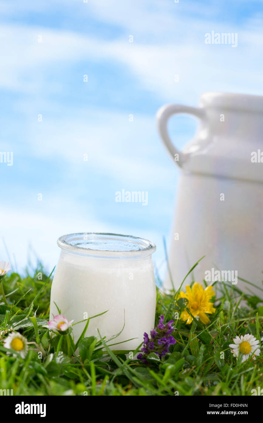 El yogur y la jarra de leche sobre la hierba con Foto de stock