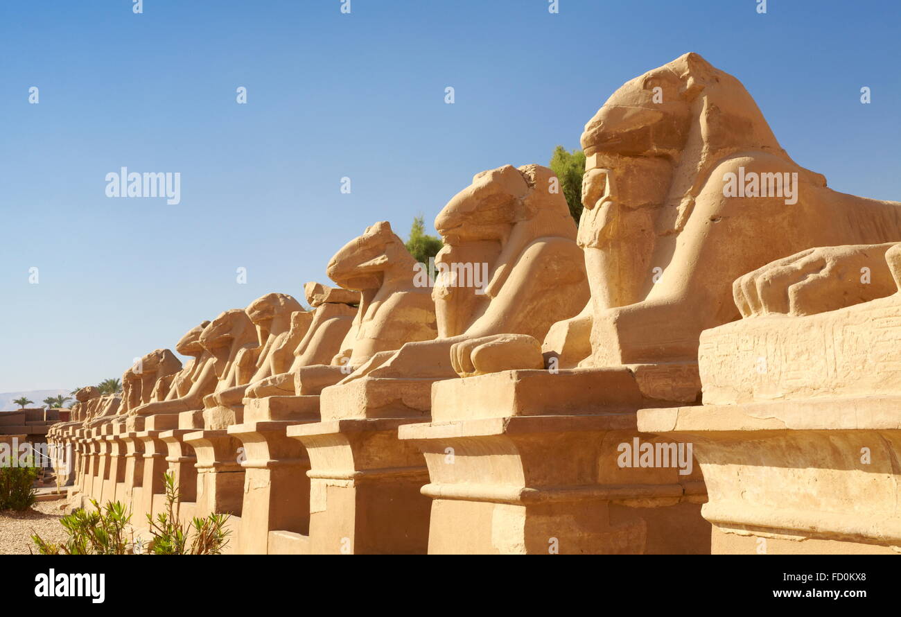 Egipto - Avenida de carneros en templo de Karnak Foto de stock