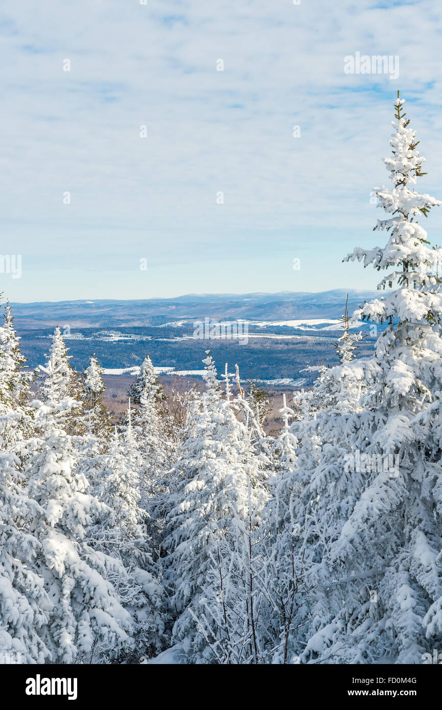 Precioso paisaje nevado en la región de Eastern Townships de Quebec, Canadá Foto de stock