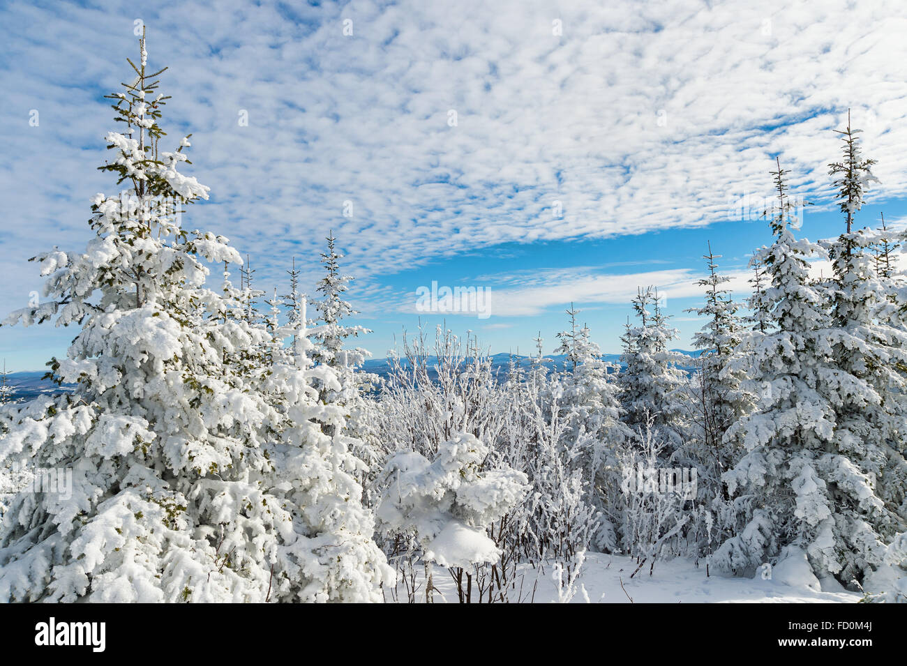 Precioso paisaje nevado en la región de Eastern Townships de Quebec, Canadá Foto de stock