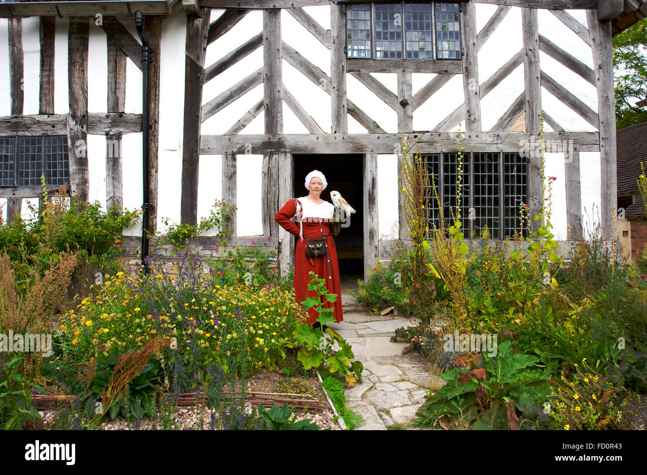 Señora sosteniendo a millie el granero en una exhibición de cetrería en Mary Arden’s Farm en Stratford-upon-Avon. Foto de stock