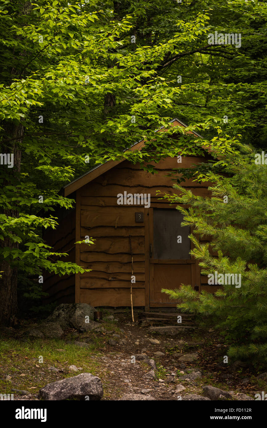 Una pequeña cabaña en los bosques de Maine, rodeada de árboles. Foto de stock