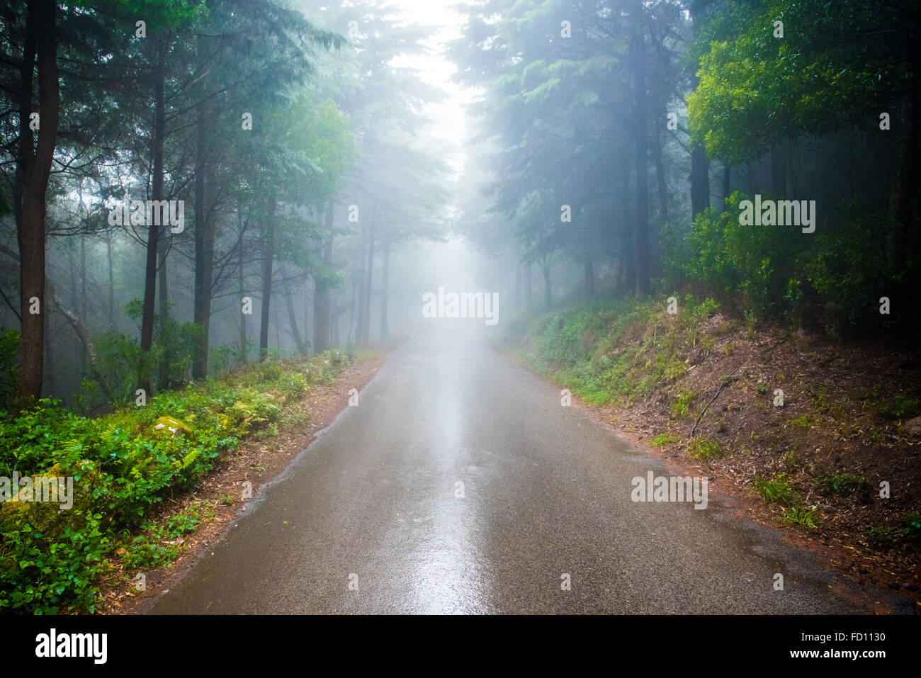 Dividido en un día lluvioso en Sintra Foto de stock