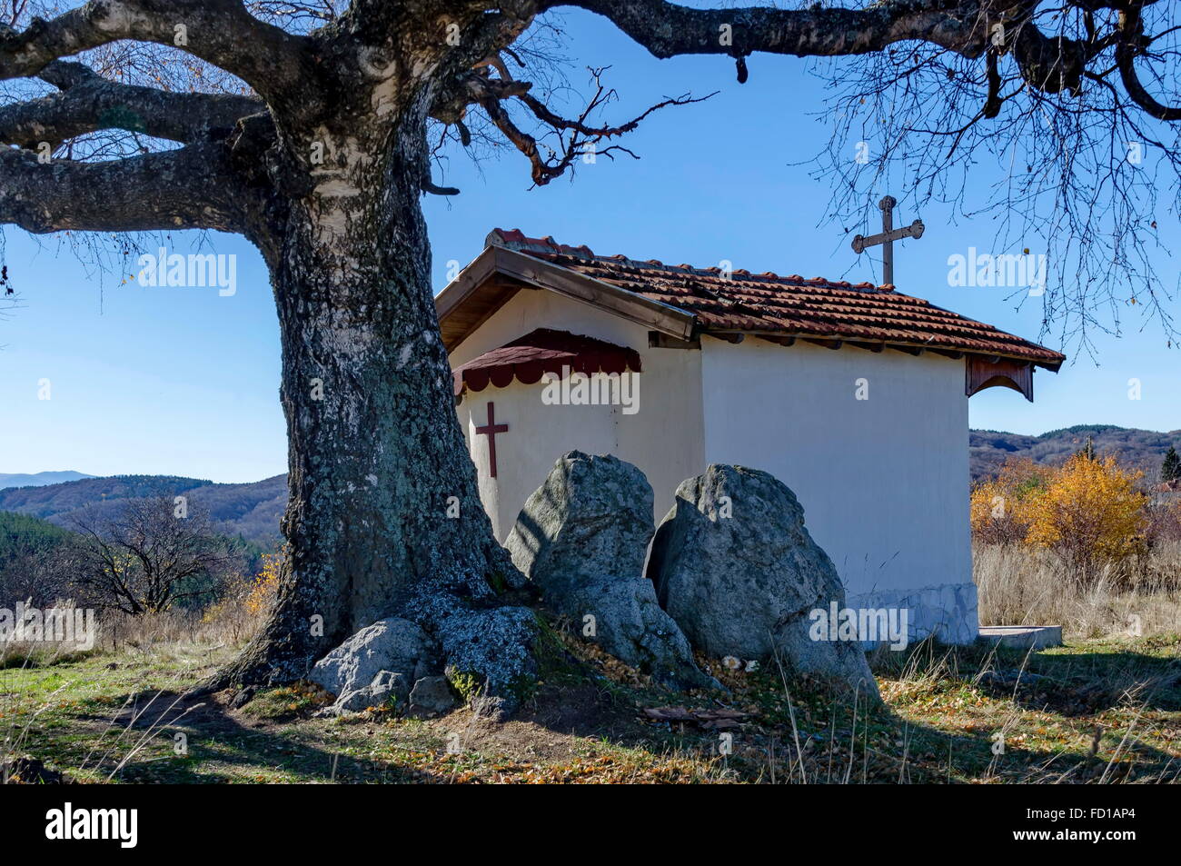 La capilla 'Saint Cipriano' con el venerable Birch Tree, Plana Bulgaria Foto de stock