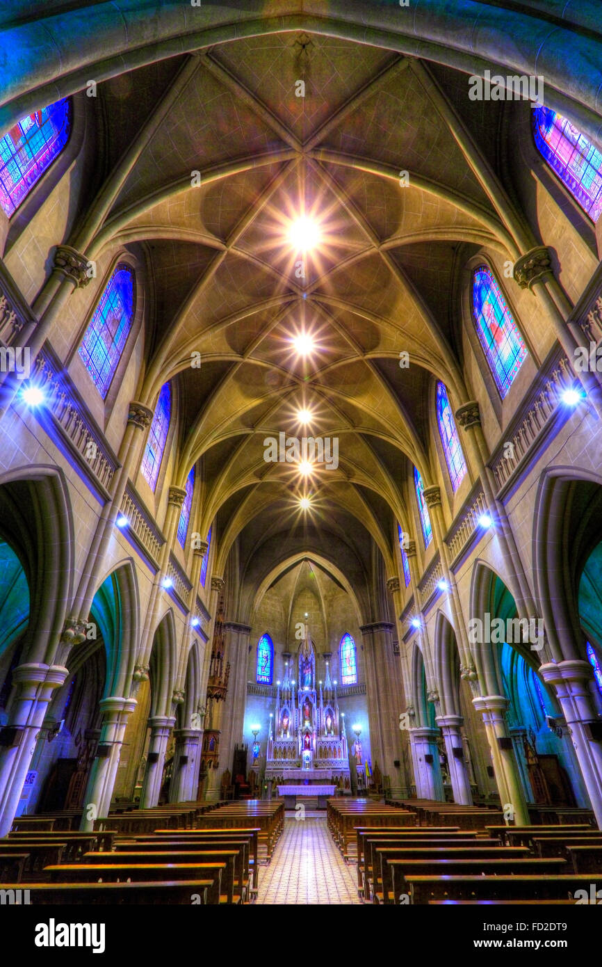Catedral Nuestra Señora del Rosario', Azul, Buenos Aires, Argentina  Fotografía de stock - Alamy