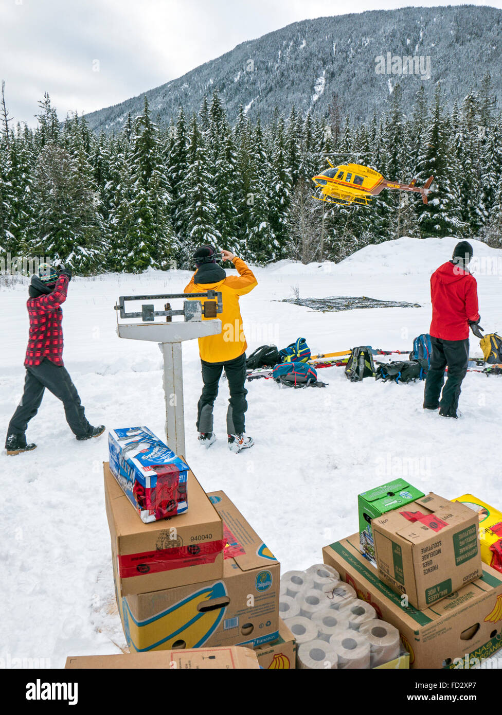 Volver país esquiadores pesan y preparar disposiciones para helicópteros de transporte entrante para montaje remoto Lodge Carlyle; Canadá Foto de stock