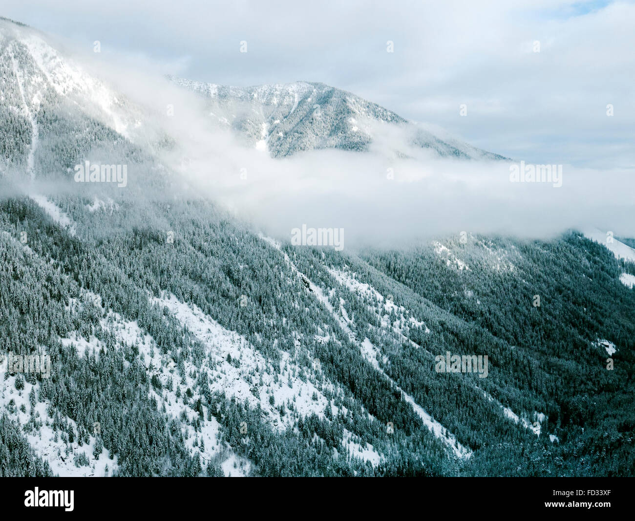 Vista invernal de antena de claro corte logging; Montañas Selkirk cerca de montaje remoto Lodge Carlyle, British Columbia, Canada Foto de stock