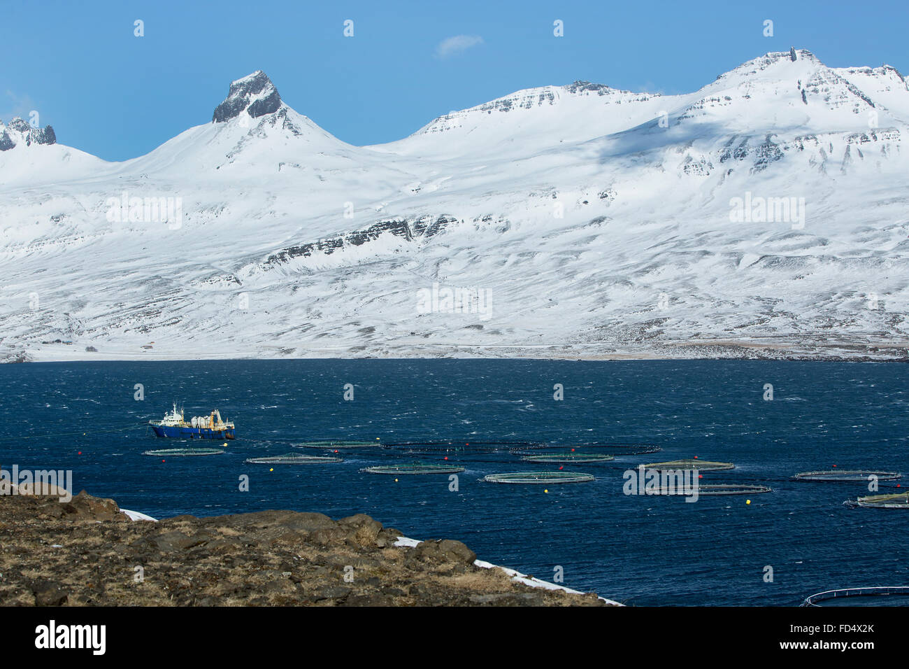 Cortador de pesca en los fiordos del norte de Islandia, el invierno Foto de stock