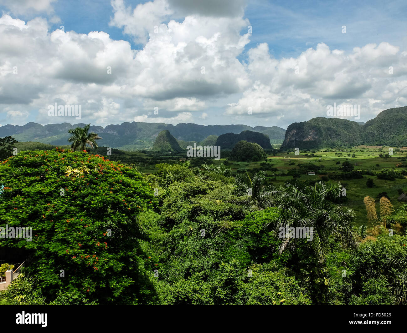 Valle con montañas boscosas en distancia Foto de stock