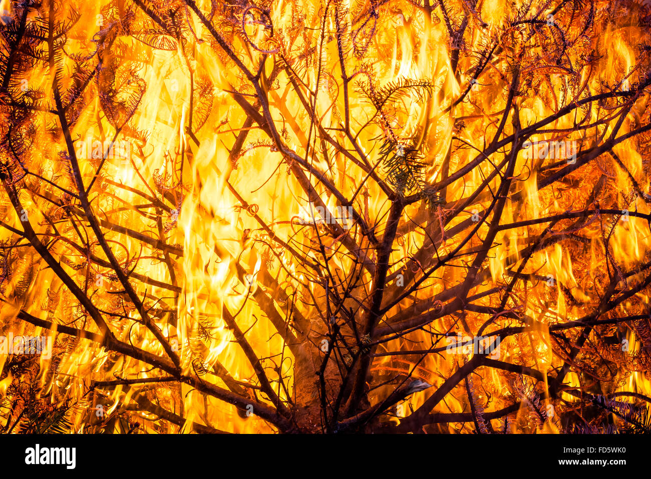 Llamas quema arboles humo fotografías e imágenes de alta resolución - Alamy