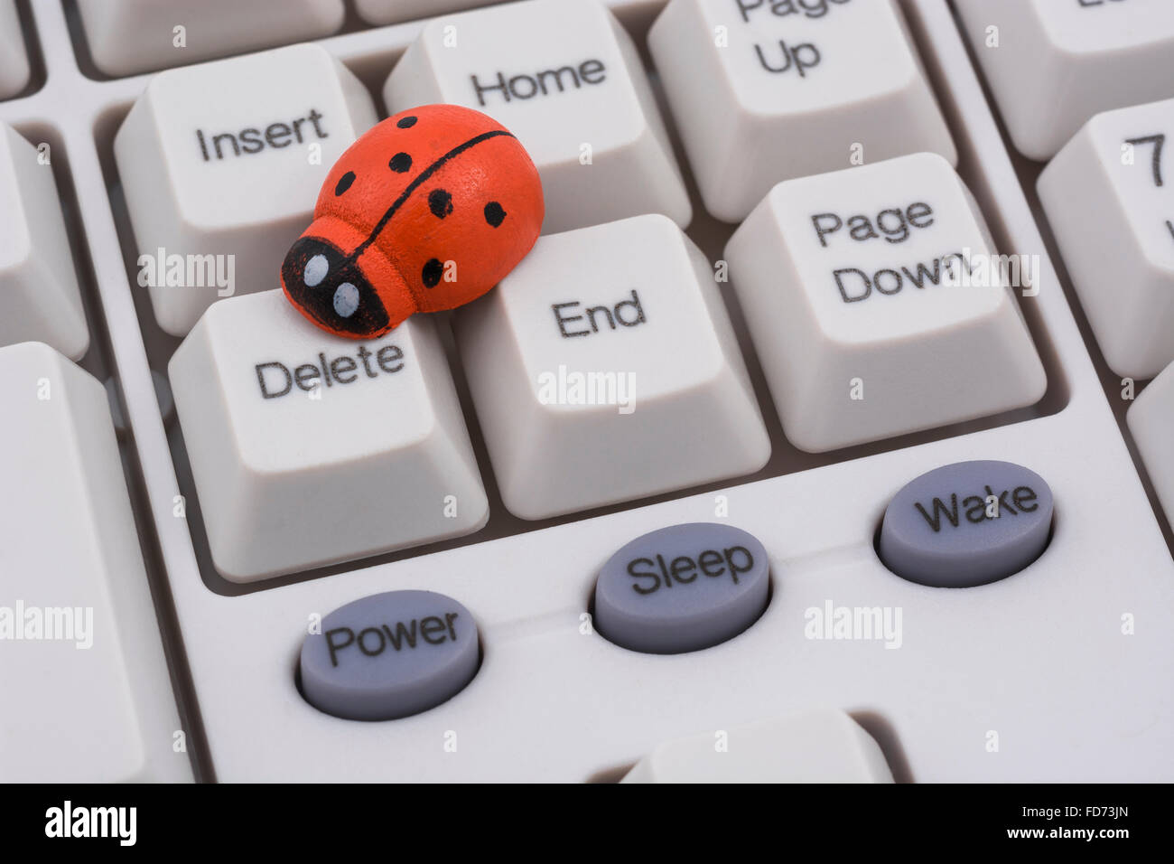 Mariquita / Ladybug en PC teclado - como una metáfora visual para el  concepto de 'bug' o equipo / sistema viral 'infección' Fotografía de stock  - Alamy