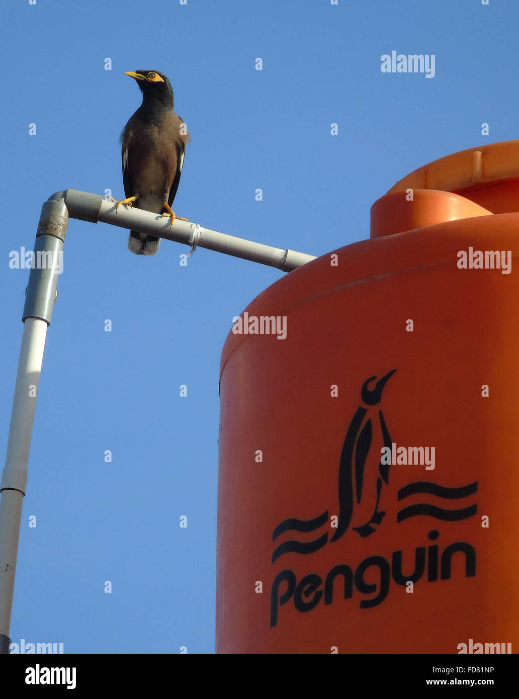 Instrumento Mas Parecido A La Voz Humana Imitar la voz humana fotografías e imágenes de alta resolución - Alamy