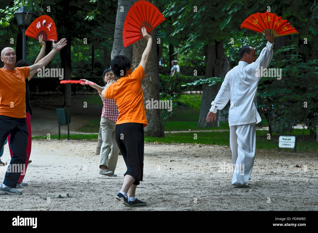 La gente que practica tai chi en el Parque del Retiro, Madrid, España  Fotografía de stock - Alamy