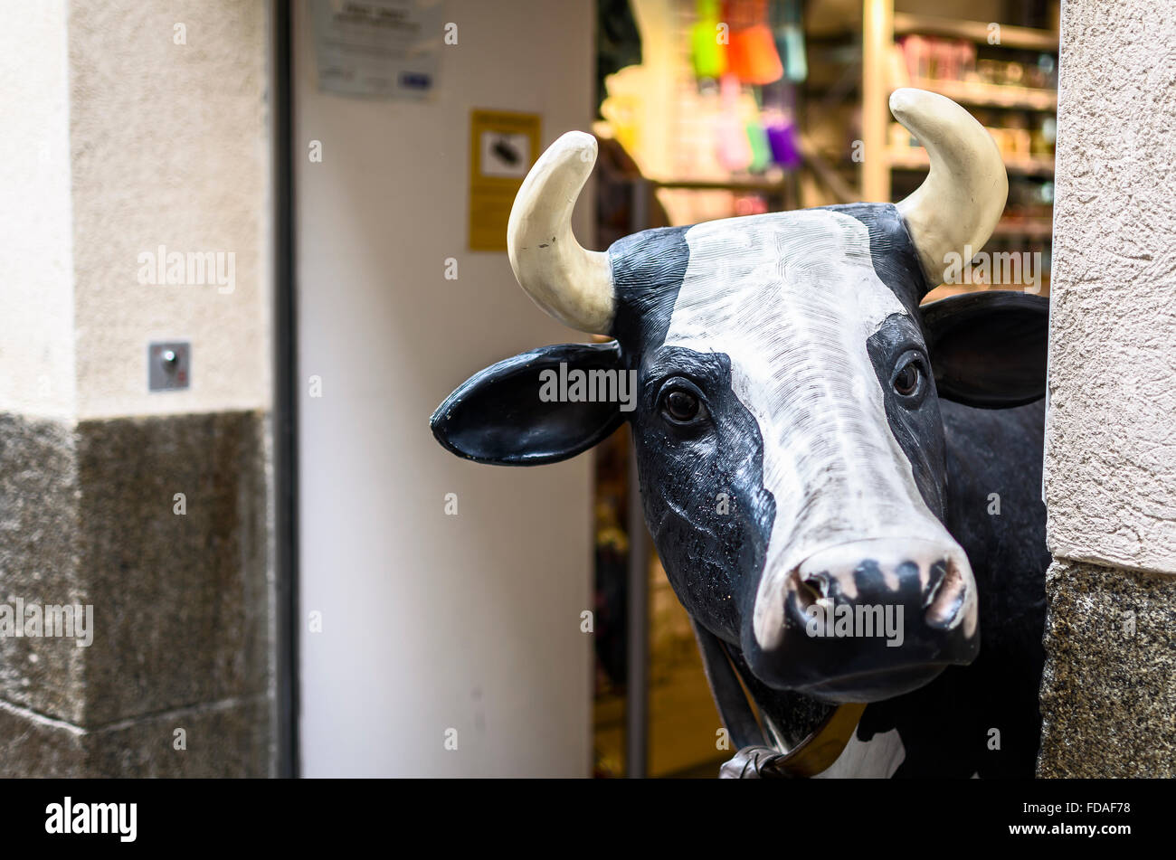 Una cabeza de vaca de cartón en la puerta de una tienda en una calle  central de la zona de letras, Madrid, España Fotografía de stock - Alamy
