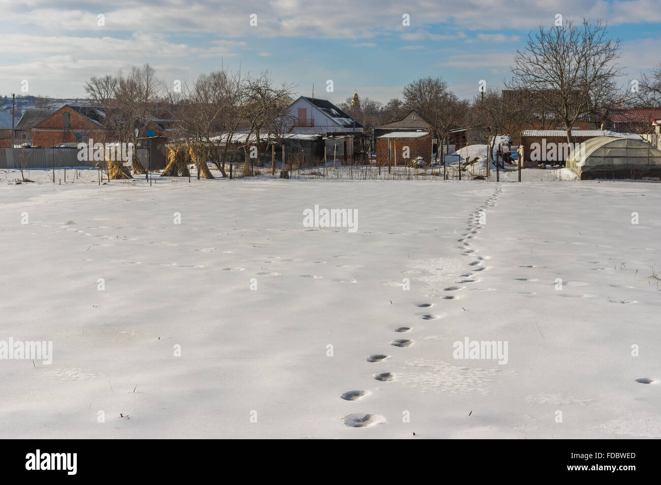 Paisaje invernal con huellas en el derretimiento de la nieve en el jardín en aldea campesina Novooleksandrivka, Ucrania Foto de stock