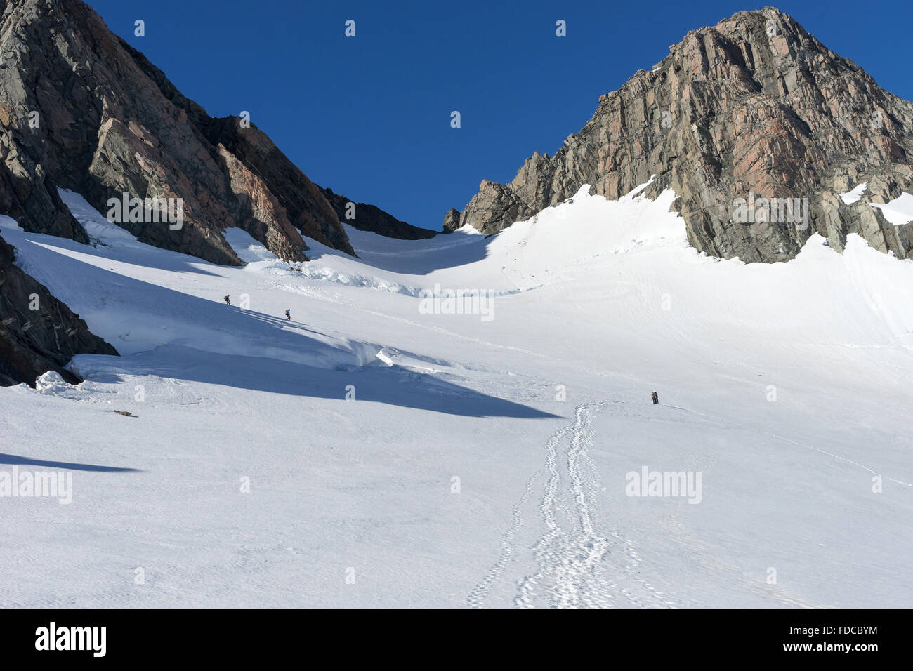 Grupo de gente caminando entre las nieves de las montañas de Nueva Zelanda Foto de stock