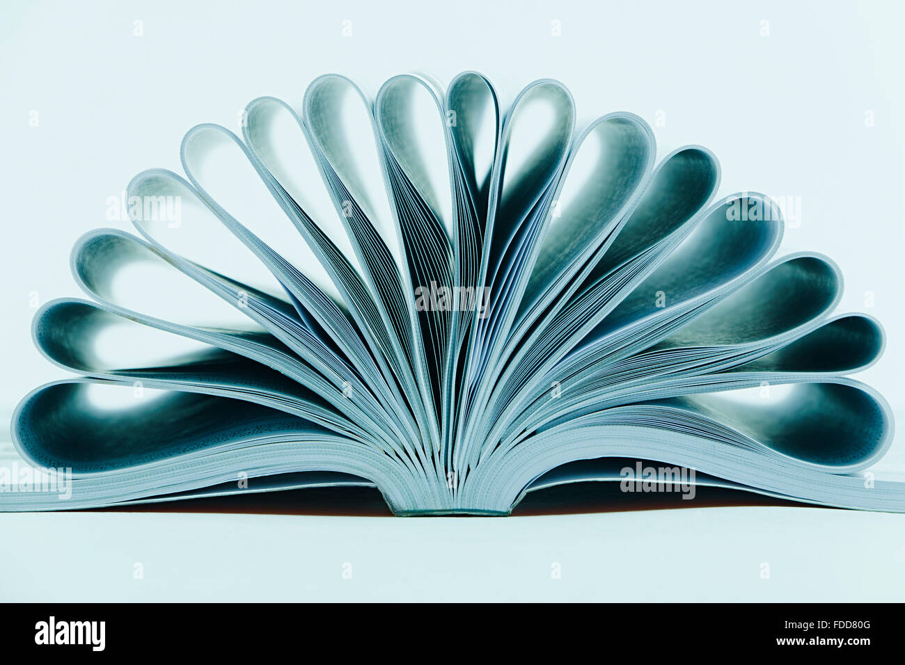 Diseño de libro Educación nadie Foto de stock