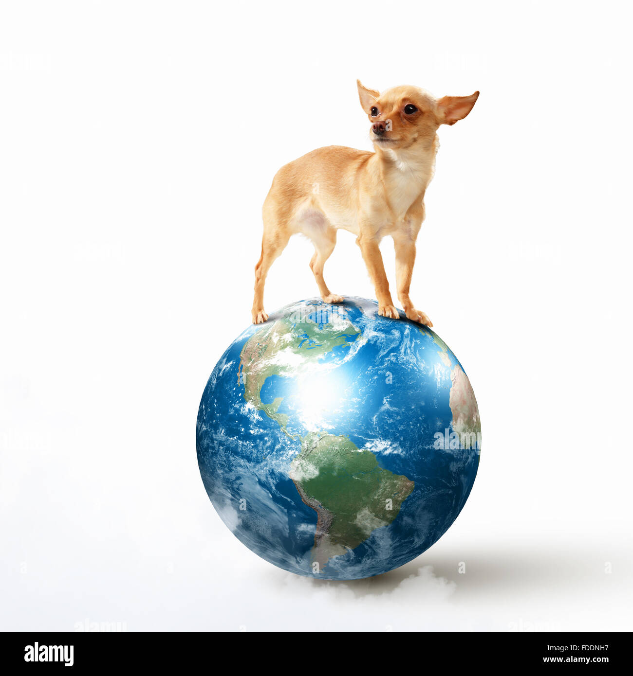 Perro con el planeta Tierra. Divertido collage. Los elementos de esta  imagen están amuebladas por la NASA Fotografía de stock - Alamy
