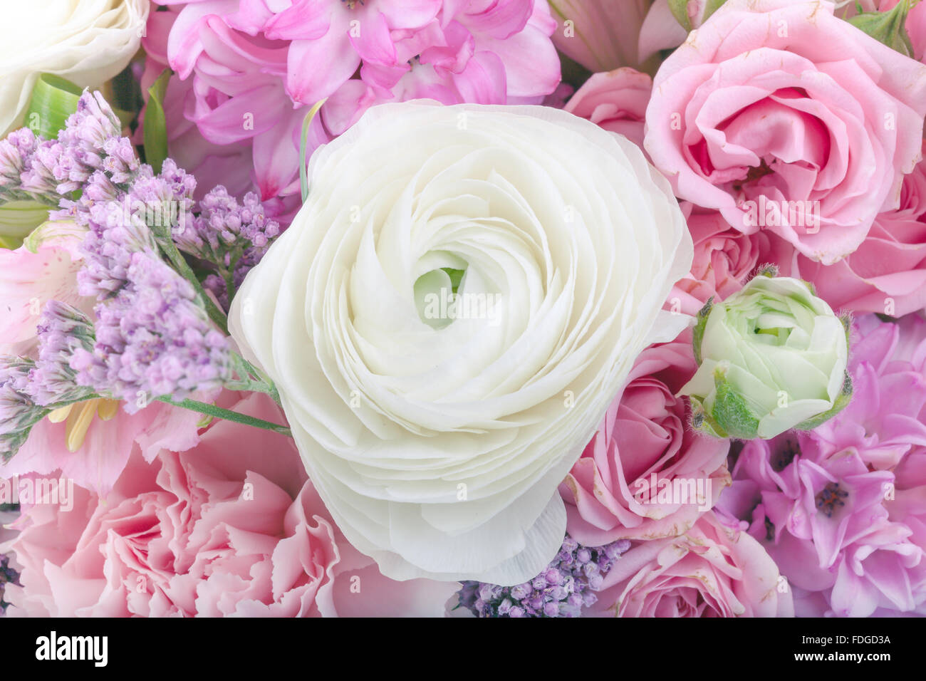Bouquet de flores increíble acuerdo cerrar en colores pastel Foto de stock