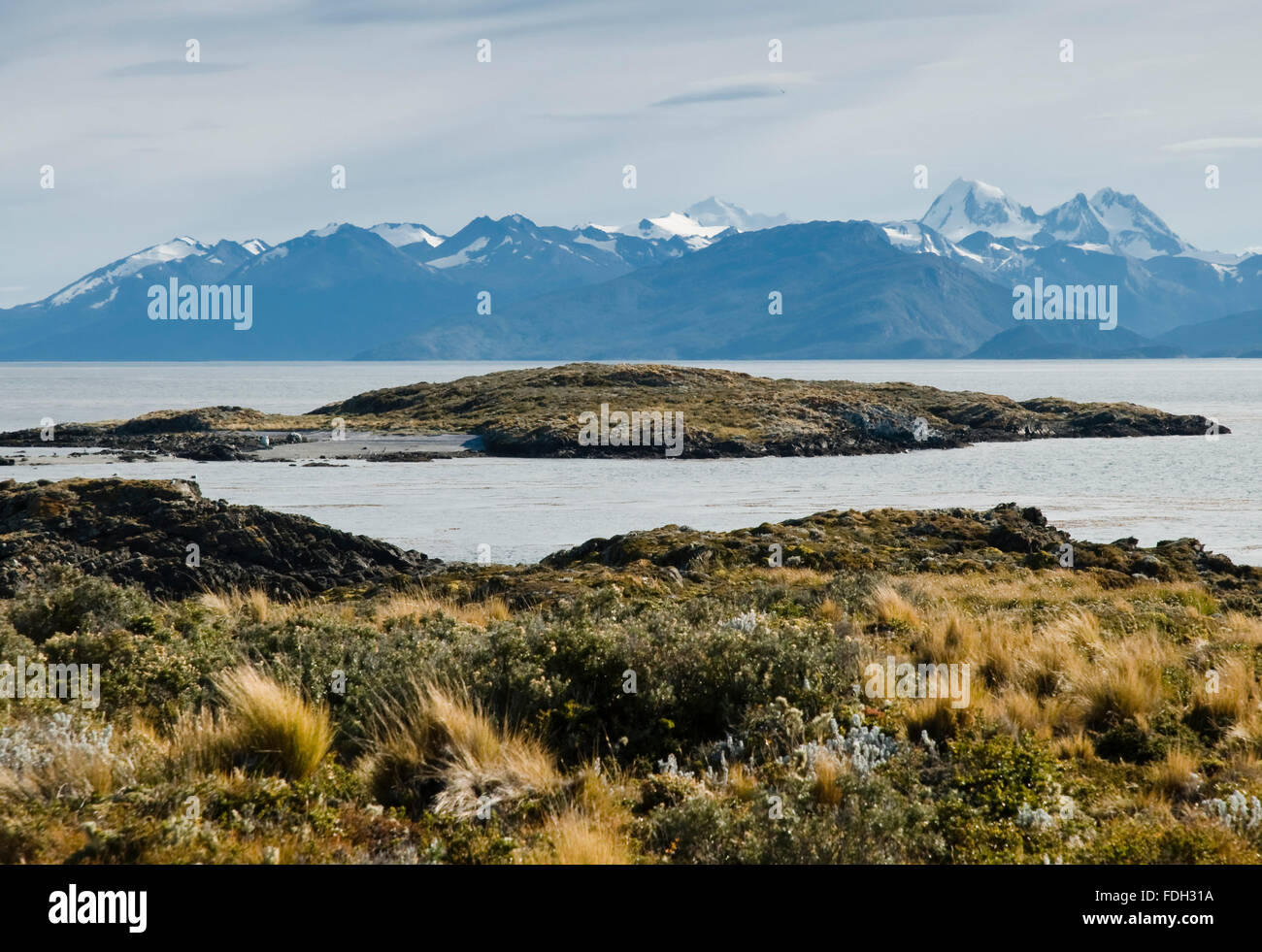 Islas Bridges en el Canal de Beagle, Ushuaia, Tierra del Fuego, Patagonia, Argentina, Sudamérica Foto de stock