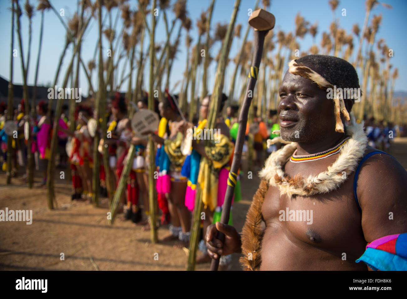 Ludzidzini, Suazilandia, Africa - The Swazi Umhlanga, o ceremonia de danza reed, 100.000 mujeres solteras o doncellas, celebrar su Foto de stock