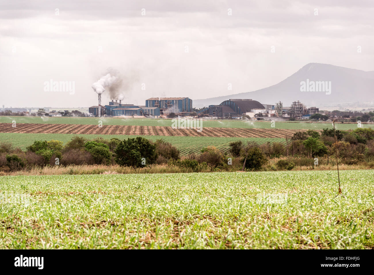 Refinería de azúcar Lubombo, Suazilandia, África. Foto de stock