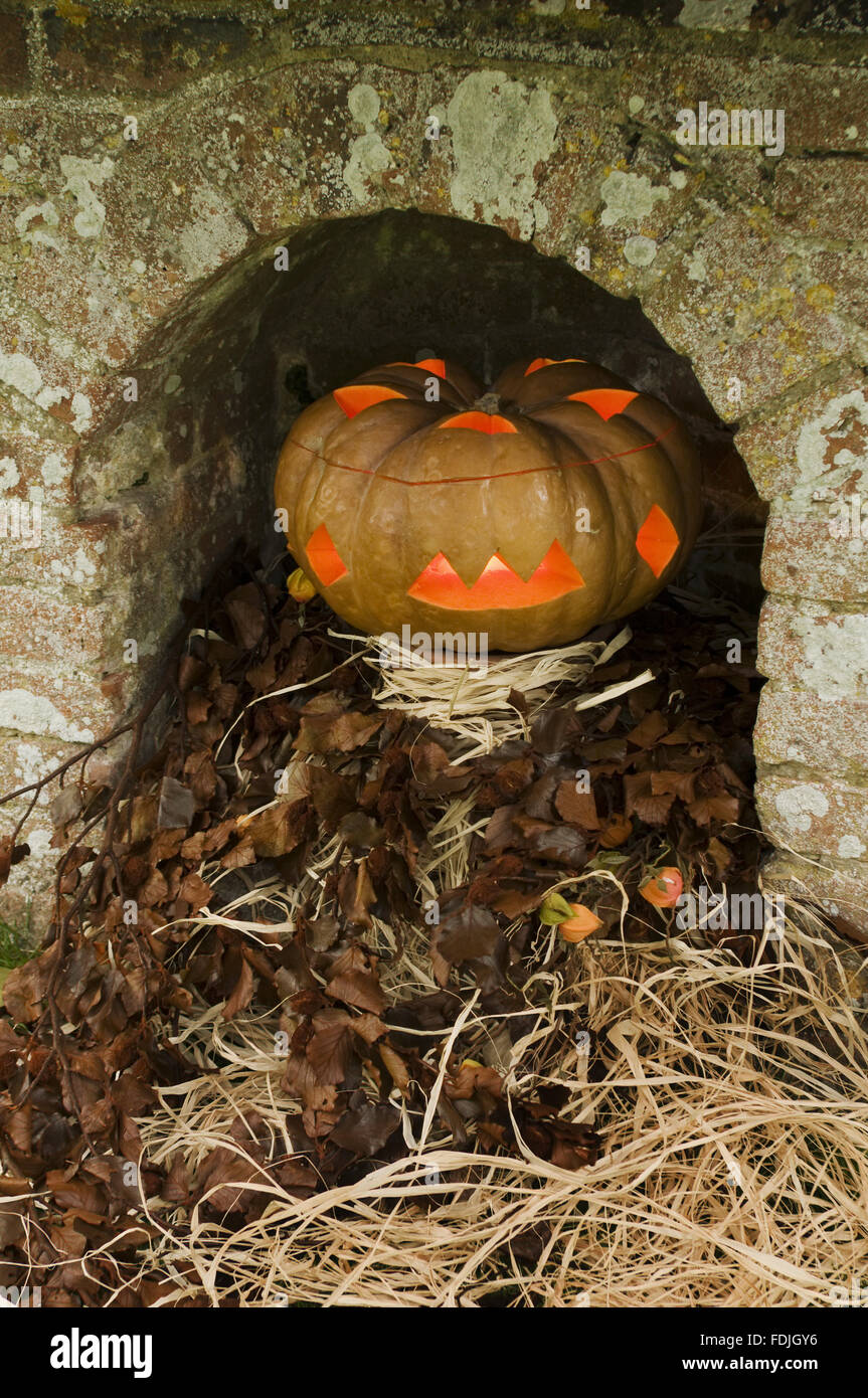 Linterna de calabaza de Halloween entre hojas otoñales, en una pared. Foto de stock