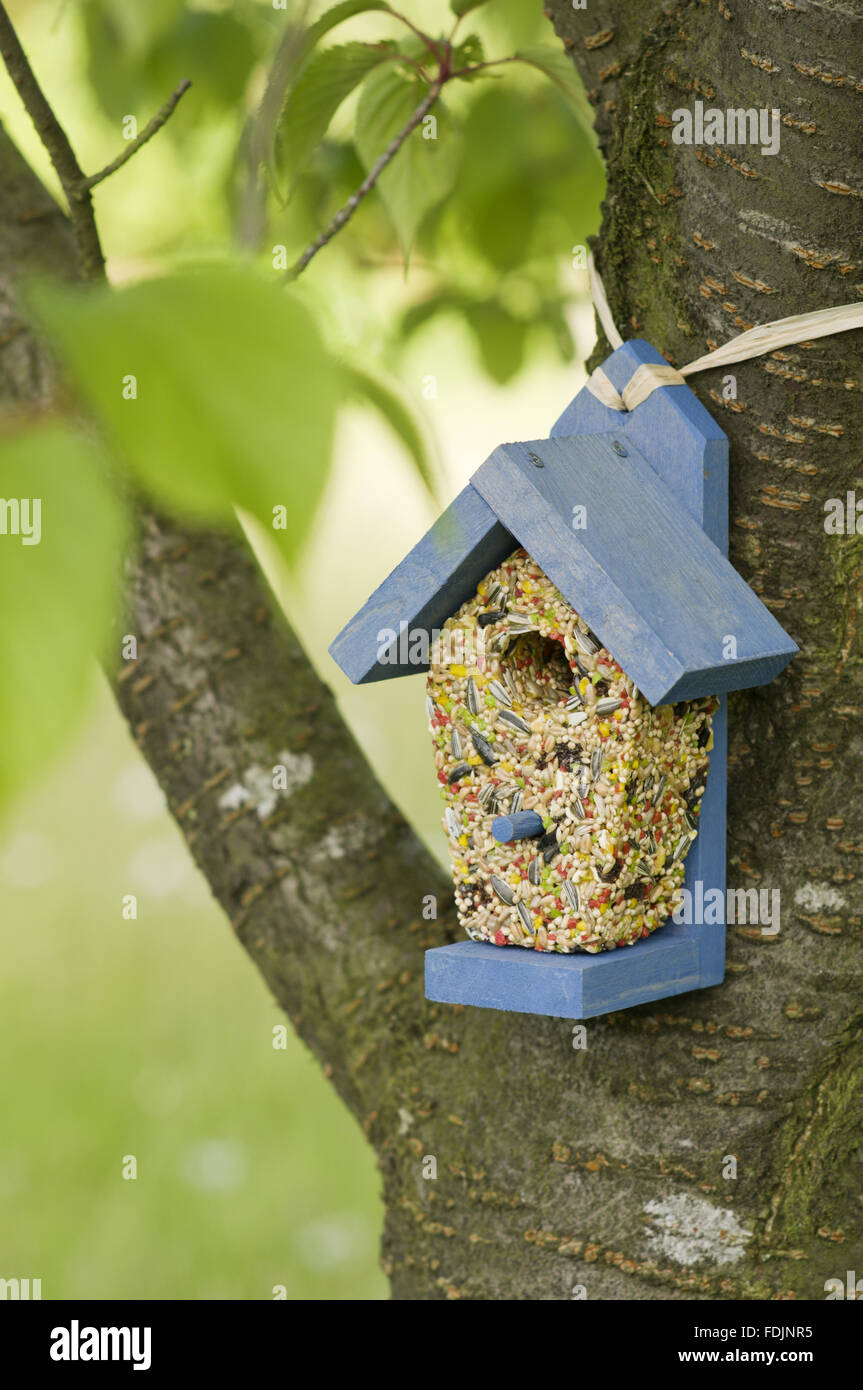 Comedero para pájaros en la forma de una casita para aves. Foto de stock