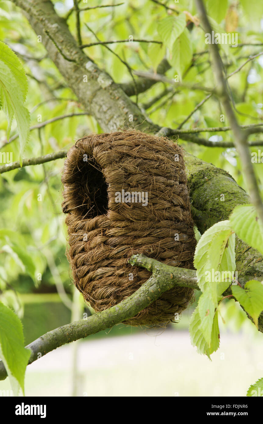 Casa de aves tejida en un árbol. Foto de stock