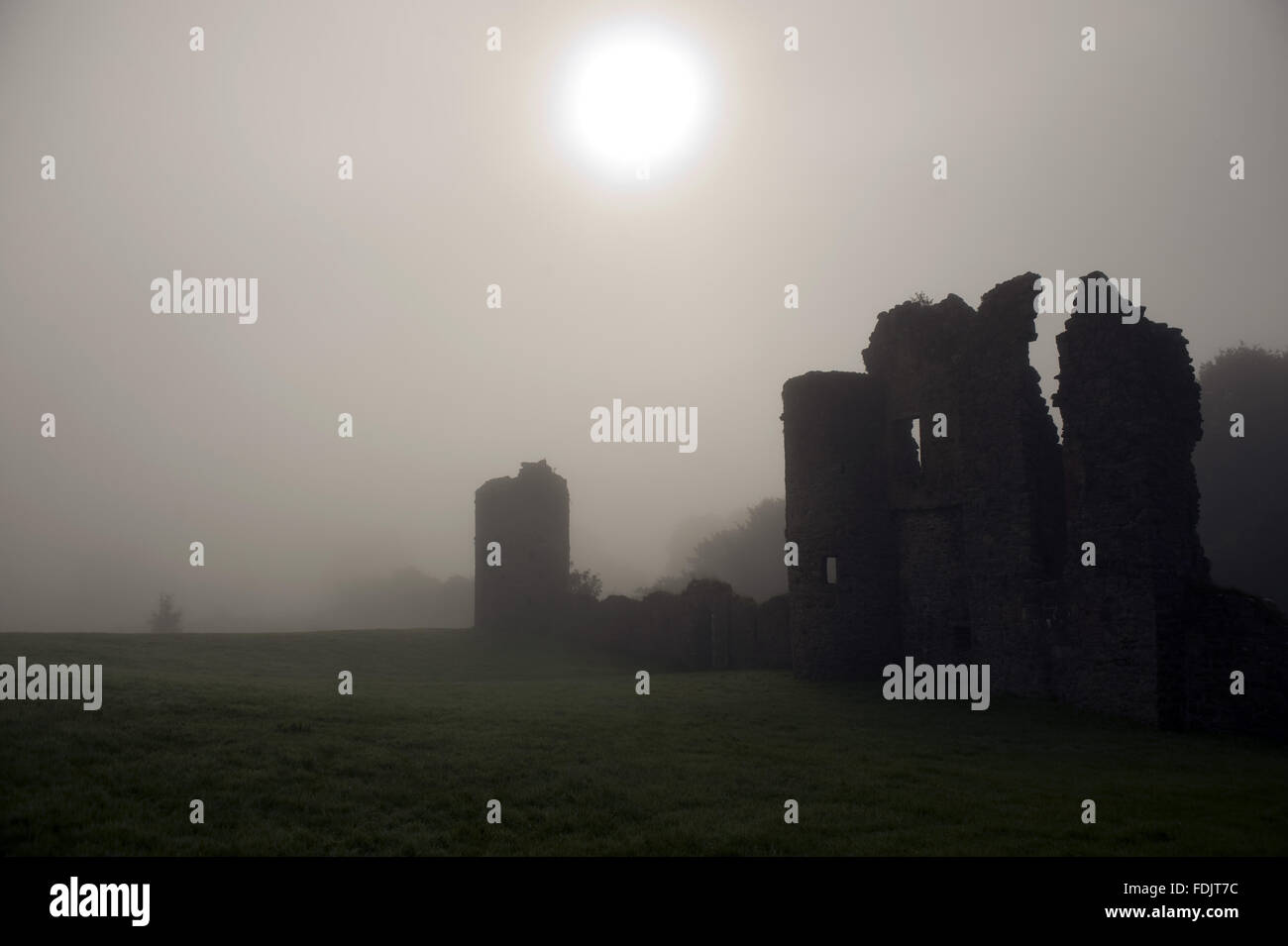 Misty vista de las ruinas de la antigua casa-torre a Crom, Co. de Fermanagh, Irlanda del Norte. Foto de stock