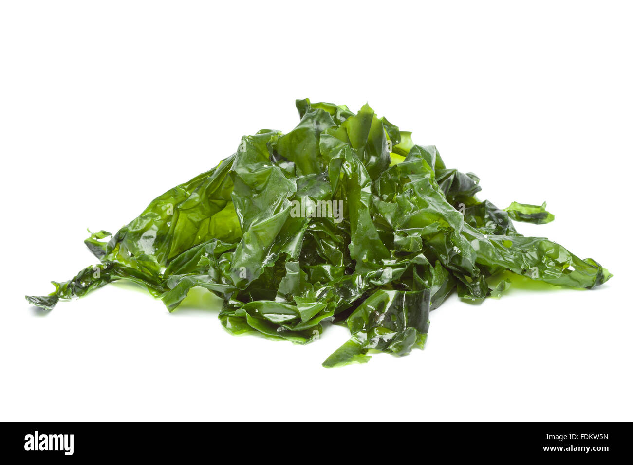 La lechuga de mar salada sobre fondo blanco. Foto de stock