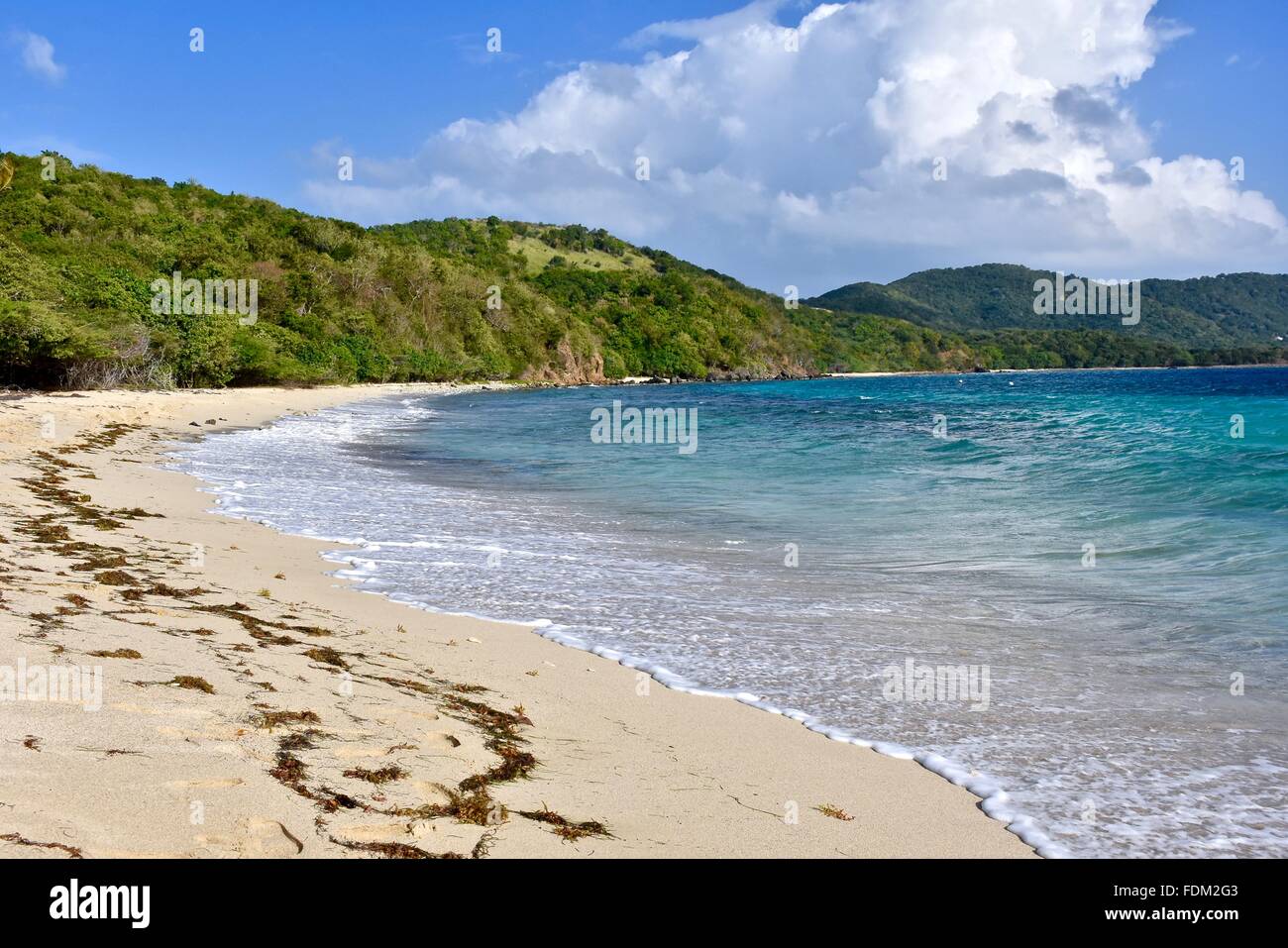 En la playa de Tamarindo, Isla de Culebra, Puerto Rico Fotografía de stock  - Alamy