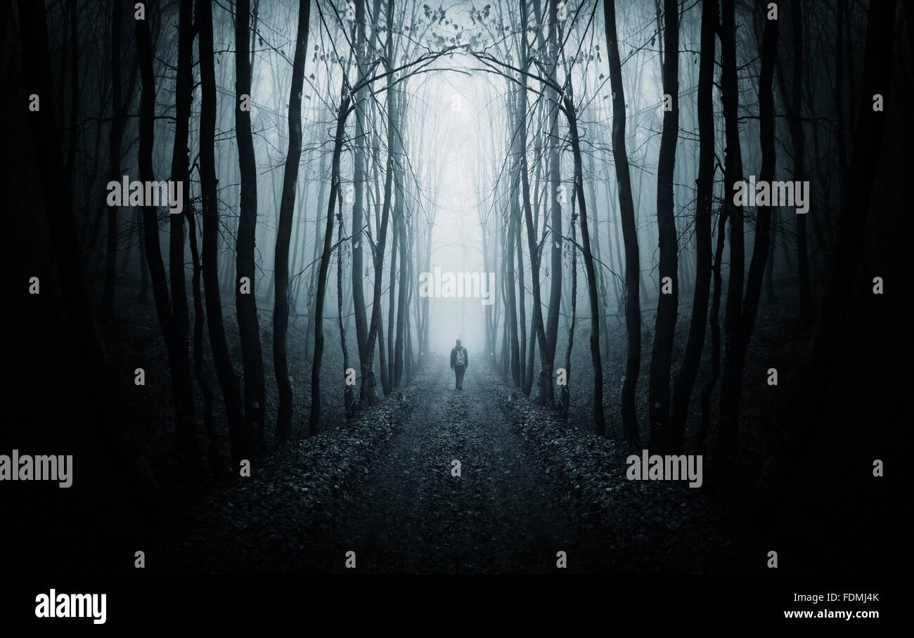 El Hombre En El Camino En La Oscuridad Del Bosque Surrealista Con Niebla En La Noche De Halloween Fotografia De Stock Alamy