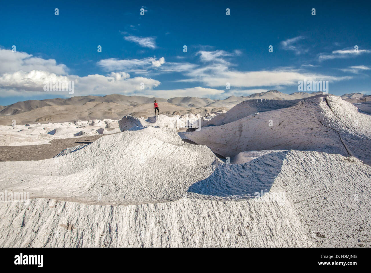 Ecoturismo en los campos de pepita de piedra - Antofagasta de la Sierra - Provincia de Catamarca Foto de stock