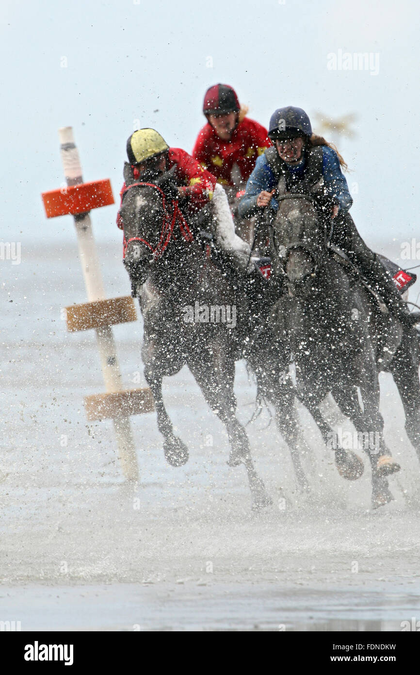 Cuxhaven, Alemania, caballos y jinetes en la carrera Duhner Watt Foto de stock