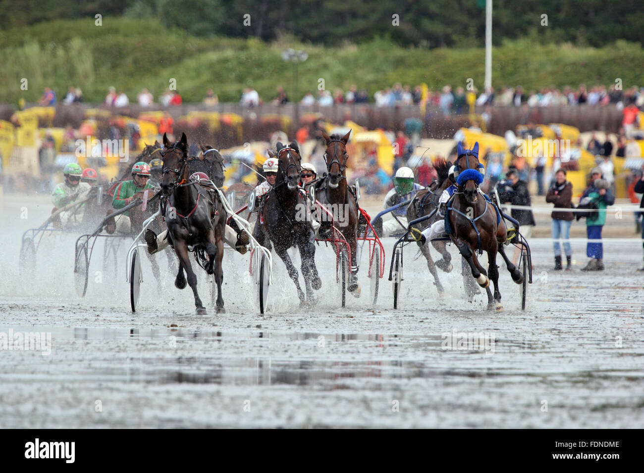 Cuxhaven, Alemania, durante las carreras de caballos de carreras Duhner Watt Foto de stock